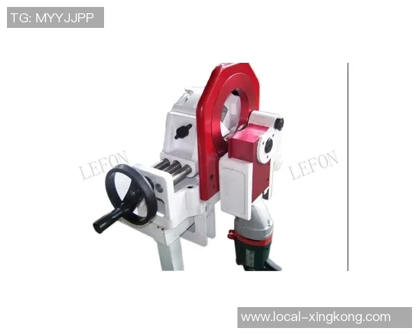 小学体育器材室功能与管理概述及其对学生健康成长的重要性分析